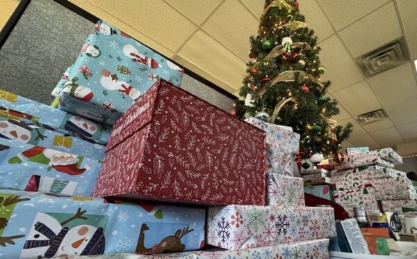 wrapped gifts by tree