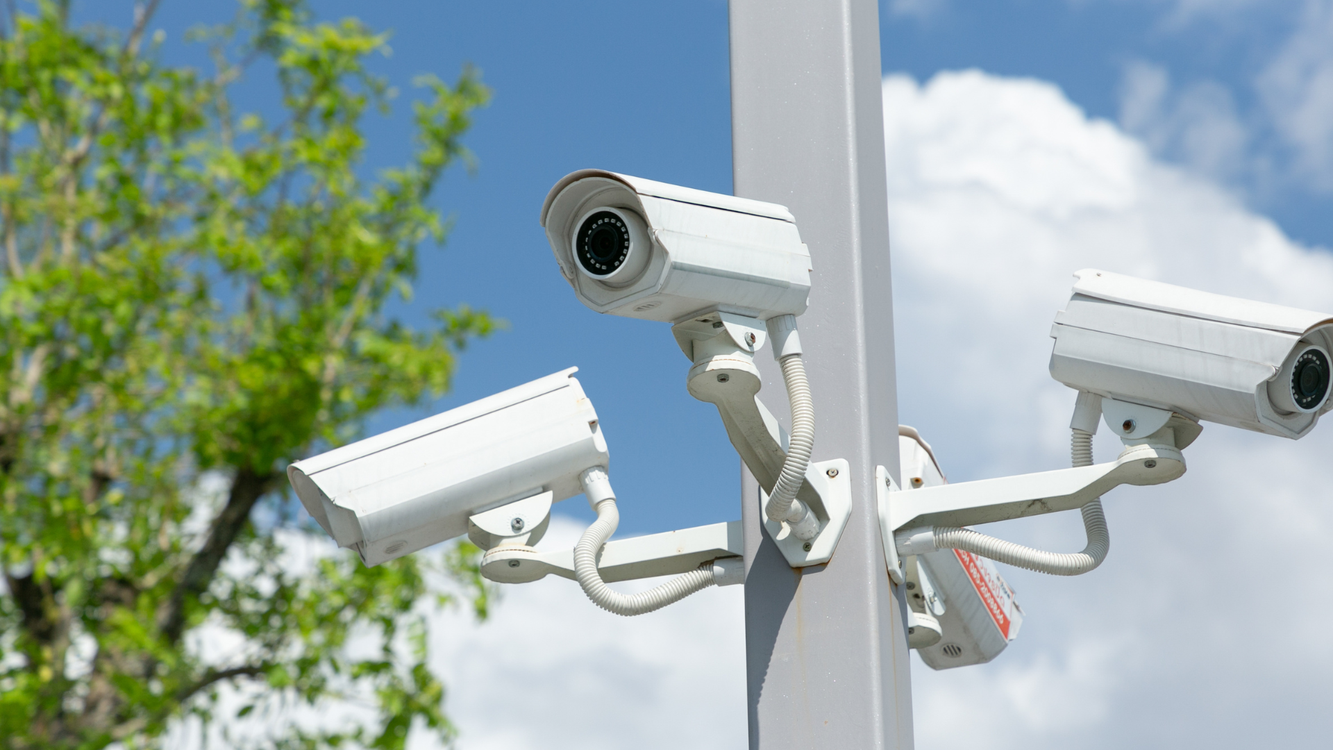 video cameras protecting a facility